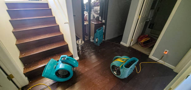 Best Basement water damage restoration  in Altoona, PA
