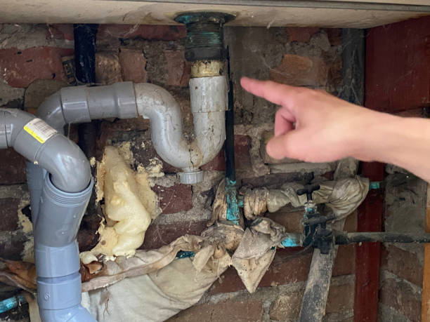 Best Flood damage cleanup  in Altoona, PA