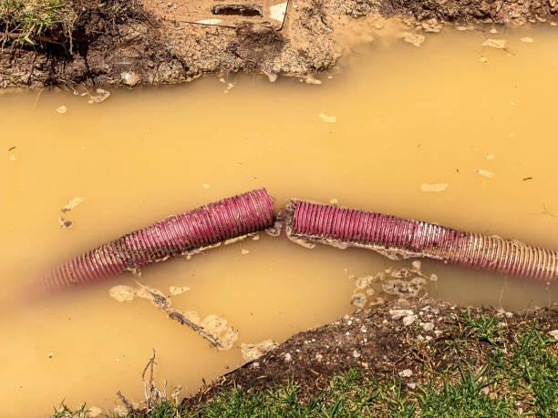 Best Water damage restoration near me  in Altoona, PA
