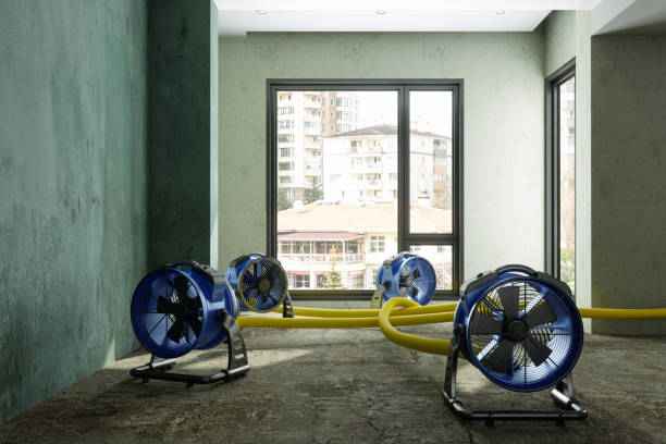 Best Water damage restoration company  in Altoona, PA